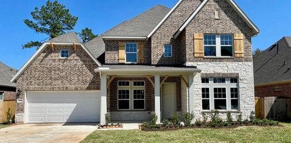626 Starlit Sky Court, Willis