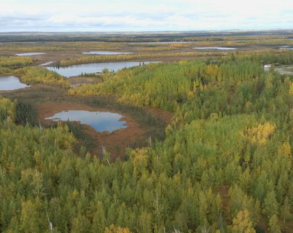 Tr I No Road, Big Lake