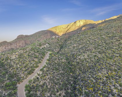 6751 N Rattlesnake Canyon, Tucson