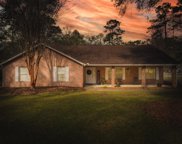 13024 Gopher Wood, Tallahassee image