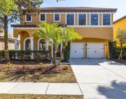 20305 Chestnut Grove Drive, Tampa image
