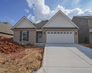 258 Sand Hills Drive, Maryville image
