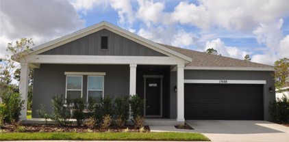17688 Passionflower Circle, Clermont