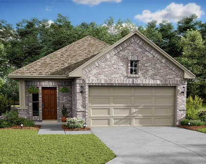 10443 Astor Point Trail, Tomball