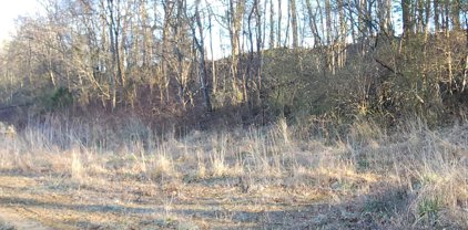 Lot 1 Route 51-Middleway Pike, Bunker Hill