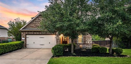 79 Wood Drake Place, Tomball