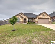 2526 Faux Pine Drive, Harker Heights image
