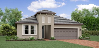 17255 Mango Shay Court, Land O' Lakes