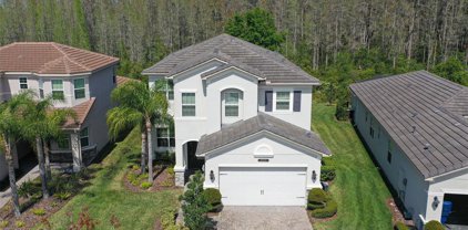 31030 Lindentree Drive, Wesley Chapel