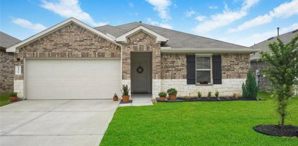 18266 Eaton Mill Drive, New Caney