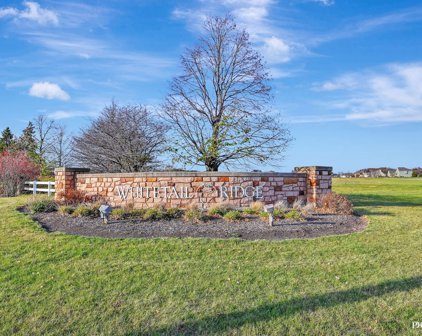 5836 Whitetail Ridge Drive, Yorkville