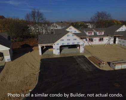 1252 Sand Springs Drive SW, Byron Center