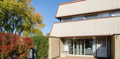 821 E Falcon Drive, Arlington Heights