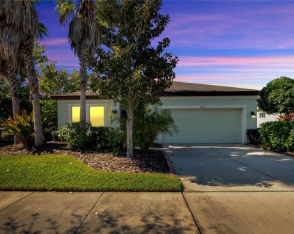 6504 Salt Creek Avenue, Apollo Beach