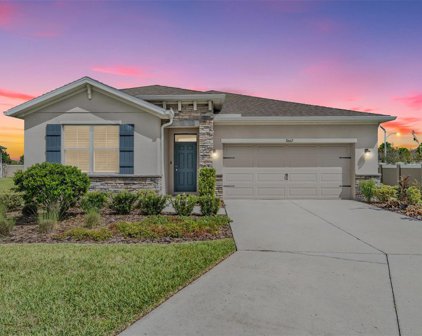 31662 Tansy Bend, Wesley Chapel
