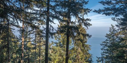 1910 Twin Lakes Drive, Orcas Island
