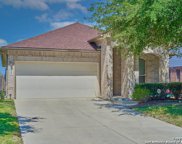 2645 War Admiral, Schertz image