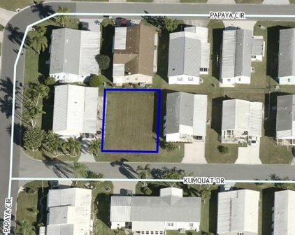 432 Kumquat Drive, Sebastian