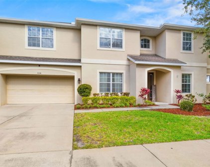 11114 Wembley Landing Drive, Lithia