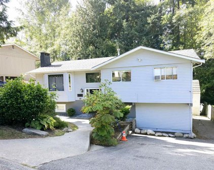 7293 Blake Drive, Delta