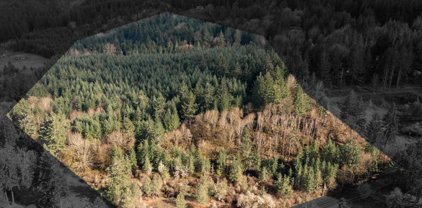 43449 Rogers Mountain (Across From) Lp, Scio