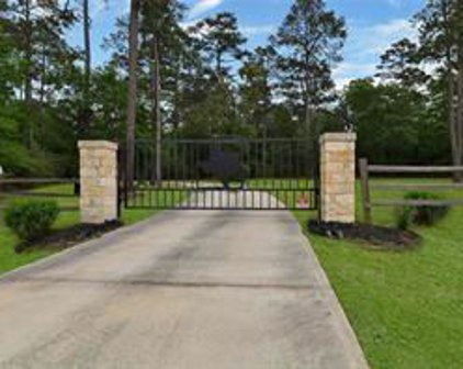 137 Port Au Prince Court, Montgomery