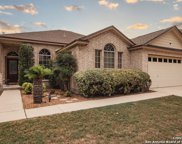 10918 Winecup Field, Helotes image
