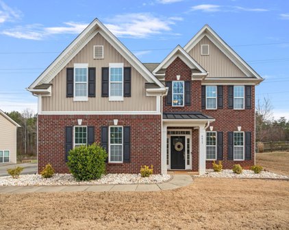 6415 Torrence Trace  Drive, Huntersville