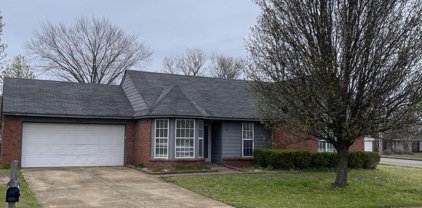 10254 Oak Leaf Drive, Olive Branch