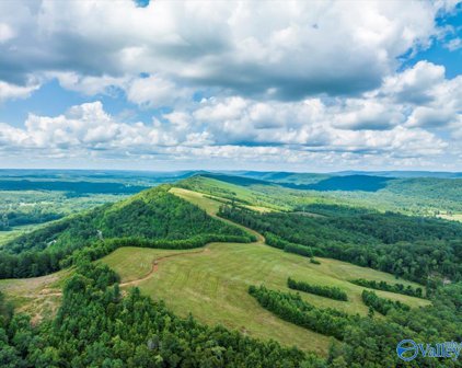 1570 Bruton Gap Road, Attalla