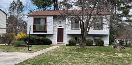 9335 Gentle Folk, Columbia