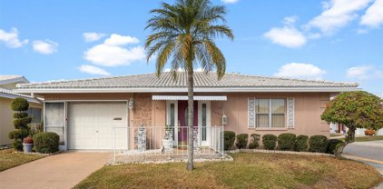5401 Lemon Tree Lane N, Pinellas Park