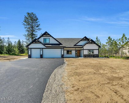 17527 TAMBOTI, Hauser