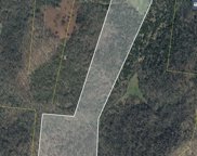 Popular Bluff Rd, Auburntown image