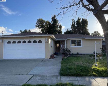 31107 Brae Burn Ave, Hayward