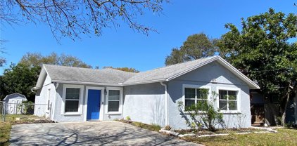 6811 S Himes Avenue, Tampa