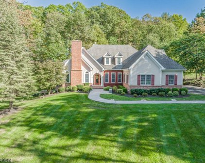7 Cherryville Stanton Rd, Raritan Twp.