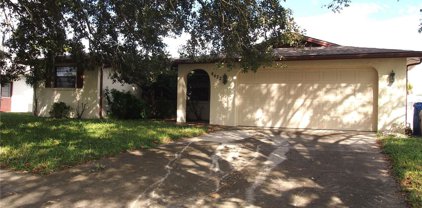 4422 Woodtrail Boulevard, New Port Richey