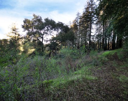 18675 Black RD, Los Gatos