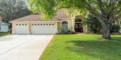 17714 Crystal Cove Place, Lutz