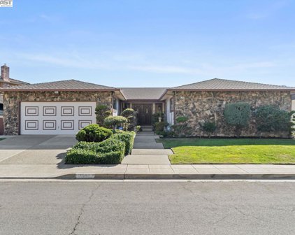 1999 Edgehill Ct, San Leandro