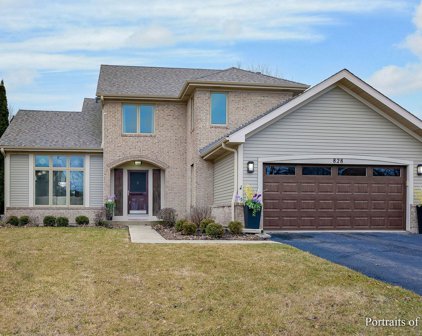 828 Clearcroft Avenue, Bolingbrook