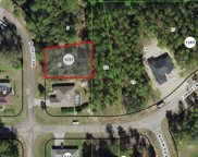 9973 N Chelic Drive, Citrus Springs image