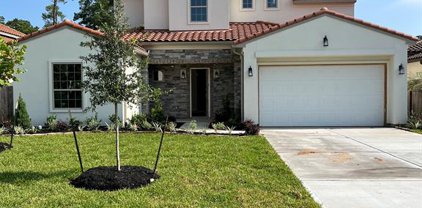 1455 Torrijos Court, Shenandoah