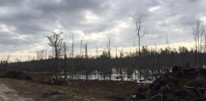 TBD Highway 378, Johnsonville