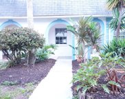 4205 Tamargo Drive, New Port Richey image