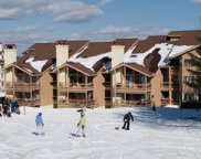 776 Stratton Mountain Access Road Unit #1207, Stratton image