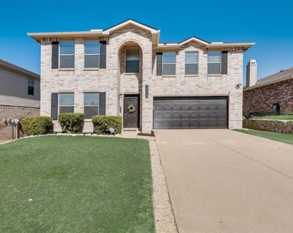 2308 Spruce Meadow  Lane, McKinney