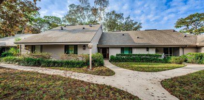 705 Old Mill Pond Road, Palm Harbor