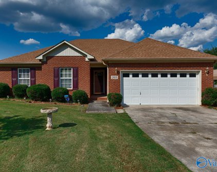 205 Maltese Court, Huntsville